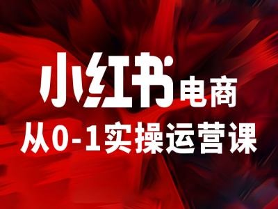 小红书电商从0-1实操运营课，让你从小白到精英-铭创资源库