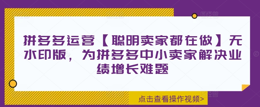 拼多多运营【聪明卖家都在做】无水印版，为拼多多中小卖家解决业绩增长难题-铭创资源库