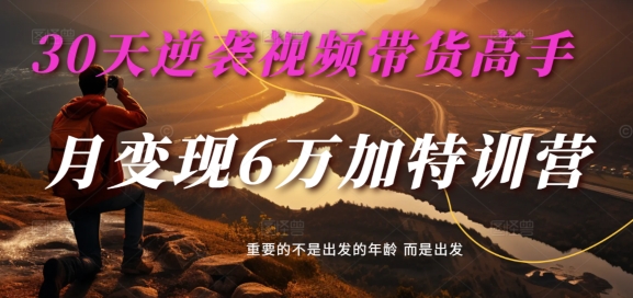 30天逆袭视频带货高手，单月变现6万加特训营-麦子甜-铭创资源库