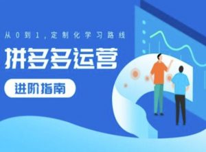 拼多多运营进阶指南,从0到1定制化学习路线-铭创资源库