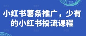 小红书薯条推广,少有的小红书投流课程-铭创资源库