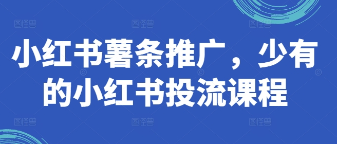 小红书薯条推广，少有的小红书投流课程-铭创资源库