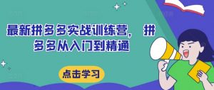 最新拼多多实战训练营, 拼多多从入门到精通-铭创资源库