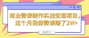 商业微课制作实战变现项目,这个月我做微课赚了2W+-铭创资源库