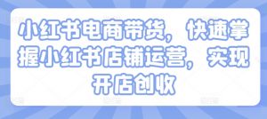小红书电商带货,快速掌握小红书店铺运营,实现开店创收-铭创资源库