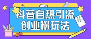抖音引流创业粉自热玩法日引200+精准粉-铭创资源库
