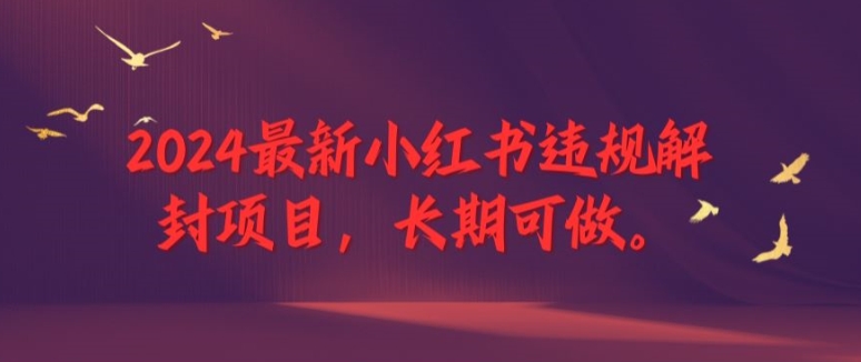 2024最新小红书违规解封项目，长期可做，一个可以做到退休的项目【揭秘】-铭创资源库