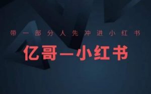 带一部分人先冲进小红书,小红书开店、选品、爆款裂变-铭创资源库