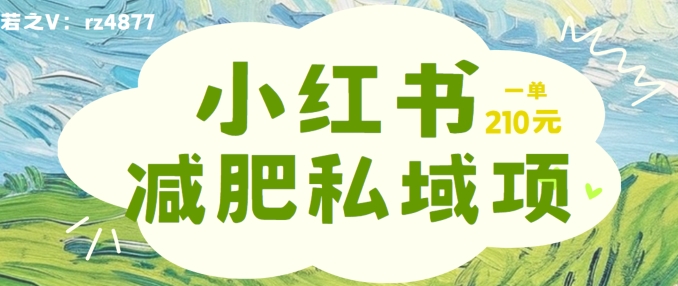 小红书减肥粉，私域变现项目，一单就达210元，小白也能轻松上手【揭秘】-铭创资源库