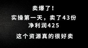这个资源,需求很大,实操第一天卖了43份,净利润425【揭秘】-铭创资源库