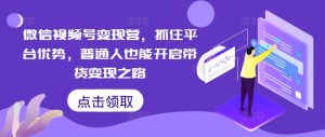 微信视频号变现营,抓住平台优势,普通人也能开启带货变现之路-铭创资源库