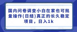 国内问卷调查小白在家也可批量操作(日结)真正的长久稳定项目,日入1k【揭秘】-铭创资源库