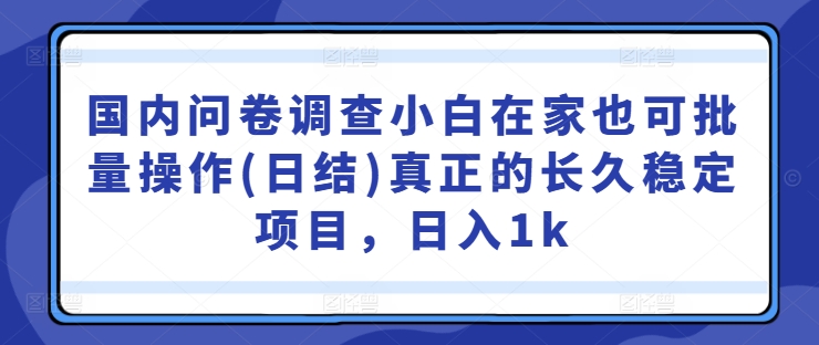 国内问卷调查小白在家也可批量操作(日结)真正的长久稳定项目，日入1k【揭秘】-铭创资源库