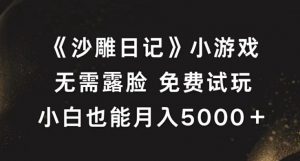 《沙雕日记》小游戏,无需露脸免费试玩,小白也能月入5000+【揭秘】-铭创资源库