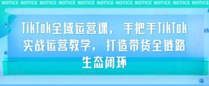 TikTok全域运营课,手把手TikTok实战运营教学,打造带货全链路生态闭环-铭创资源库