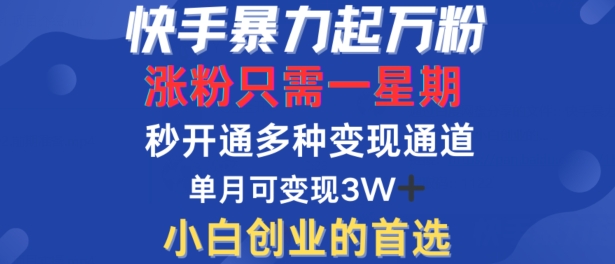 快手暴力起万粉，涨粉只需一星期，多种变现模式，直接秒开万合，单月变现过W【揭秘】-铭创资源库