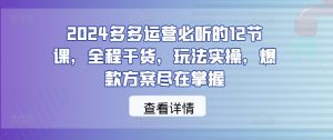 2024多多运营必听的12节课,全程干货,玩法实操,爆款方案尽在掌握-铭创资源库