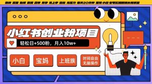 小红书创业粉项目日+500粉,每天20分钟躺赚长尾收益,无脑操作,宝妈,小白抓紧冲【揭秘】-铭创资源库