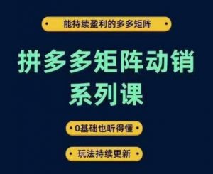 拼多多矩阵动销系列课,能持续盈利的多多矩阵,0基础也听得懂,玩法持续更新-铭创资源库
