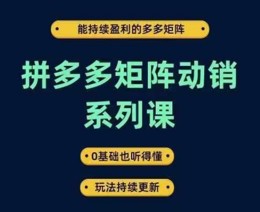 拼多多矩阵动销系列课，能持续盈利的多多矩阵，0基础也听得懂，玩法持续更新-铭创资源库