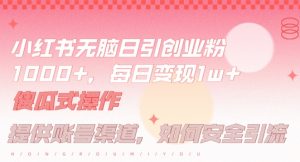 小红书无脑每日引流创业粉500+,小白每天只花半小时,躺赚长尾收益【揭秘】-铭创资源库