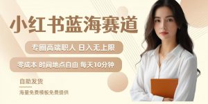 小红书蓝海赛道,圈中高端职场人,月入无上限,可矩阵,内含私域实操教程!-铭创资源库