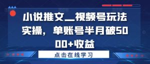 小说推文—视频号玩法实操,单账号半月破5000+收益-铭创资源库