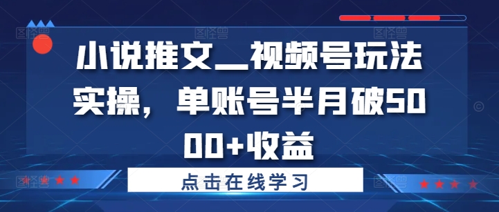 小说推文—视频号玩法实操，单账号半月破5000+收益-铭创资源库
