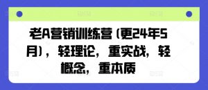 老A营销训练营(更24年9月),轻理论,重实战,轻概念,重本质-铭创资源库