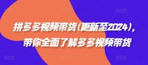 拼多多视频带货(更新至2024),带你全面了解多多视频带货-铭创资源库