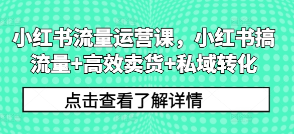 小红书流量运营课，小红书搞流量+高效卖货+私域转化-铭创资源库