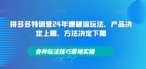 拼多多特训营24年爆破流玩法,产品决定上限,方法决定下限,各种玩法技巧落地实操-铭创资源库