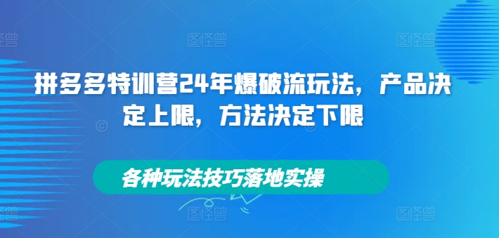 拼多多特训营24年爆破流玩法，产品决定上限，方法决定下限，各种玩法技巧落地实操-铭创资源库