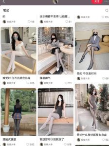 AI打造网红账号,一周收入超5位数,还能矩阵操做-铭创资源库