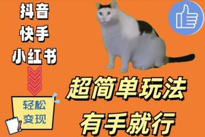 超简单玩法,有手就行,靠猫咪视频日入500+【揭秘】-铭创资源库