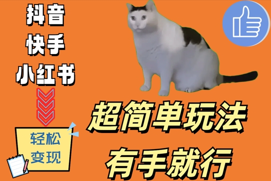 超简单玩法，有手就行，靠猫咪视频日入500+【揭秘】-铭创资源库