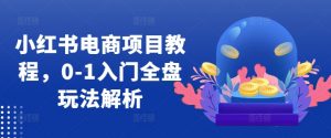 小红书电商项目教程,0-1入门全盘玩法解析-铭创资源库