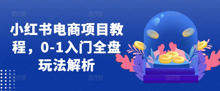 小红书电商项目教程，0-1入门全盘玩法解析-铭创资源库