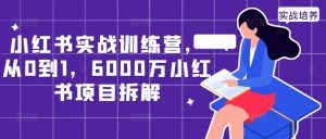 小红书实战训练营，从0到1，6000万小红书项目拆解-铭创资源库