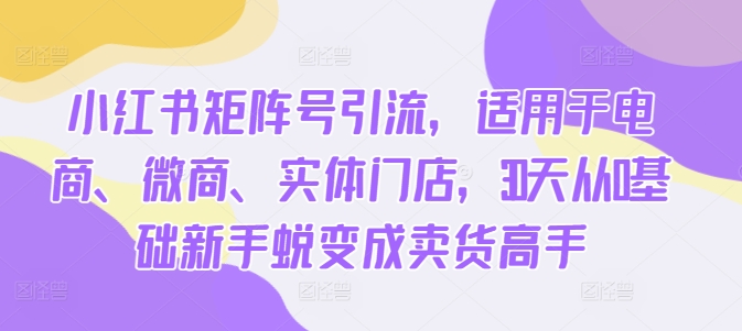 小红书矩阵号引流，适用于电商、微商、实体门店，30天从0基础新手蜕变成卖货高手-铭创资源库