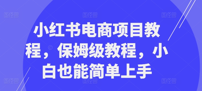 小红书电商项目教程，保姆级教程，小白也能简单上手-铭创资源库