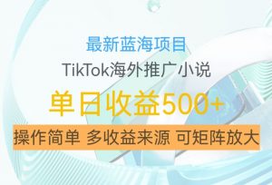 最新蓝海项目，利用tiktok海外推广小说赚钱佣金，简单易学，日入500+，可矩阵放大【揭秘】-铭创资源库