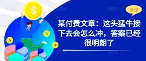 某付费文章:这头猛牛接下去会怎么冲,答案已经很明朗了 !-铭创资源库
