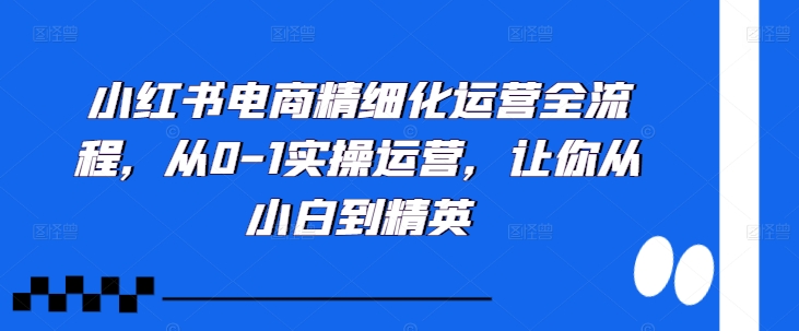 小红书电商精细化运营全流程，从0-1实操运营，让你从小白到精英-铭创资源库