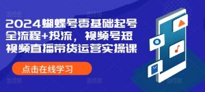 2024蝴蝶号零基础起号全流程+投流,视频号短视频直播带货运营实操课-铭创资源库