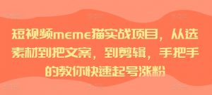 短视频meme猫实战项目，从选素材到把文案，到剪辑，手把手的教你快速起号涨粉-铭创资源库