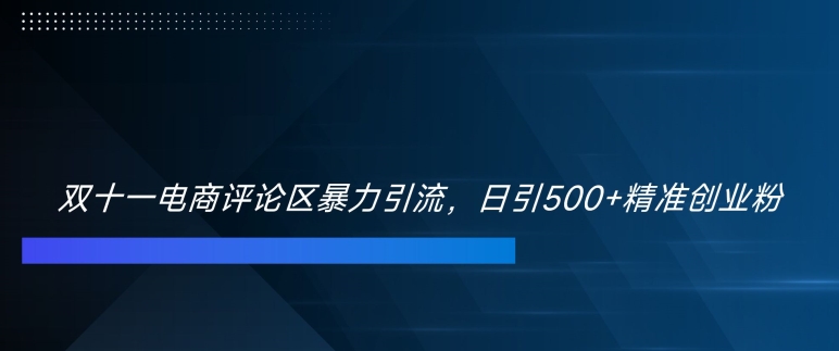 双十一电商评论区暴力引流，日引500+精准创业粉【揭秘】-铭创资源库