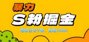 单人单机日引千粉,变现1k+,S粉流量掘金计划攻略【揭秘】-铭创资源库
