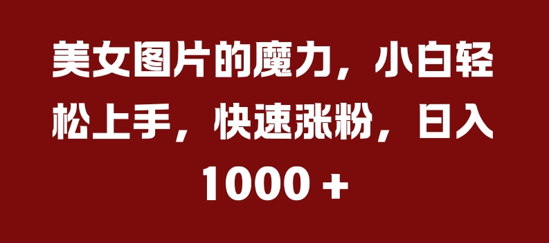 美女图片的魔力，小白轻松上手，快速涨粉，日入几张【揭秘】-铭创资源库
