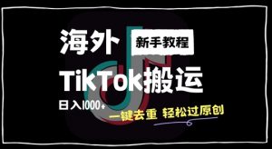 2024最新海外TikTok搬运玩法，一键去重轻松过原创，新手无经验也能日入1k【揭秘】-铭创资源库